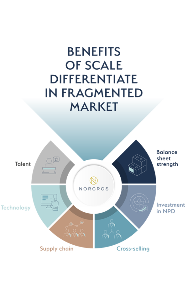 Benefits Scale Differentiate Fragmented Market Graphic Portrait